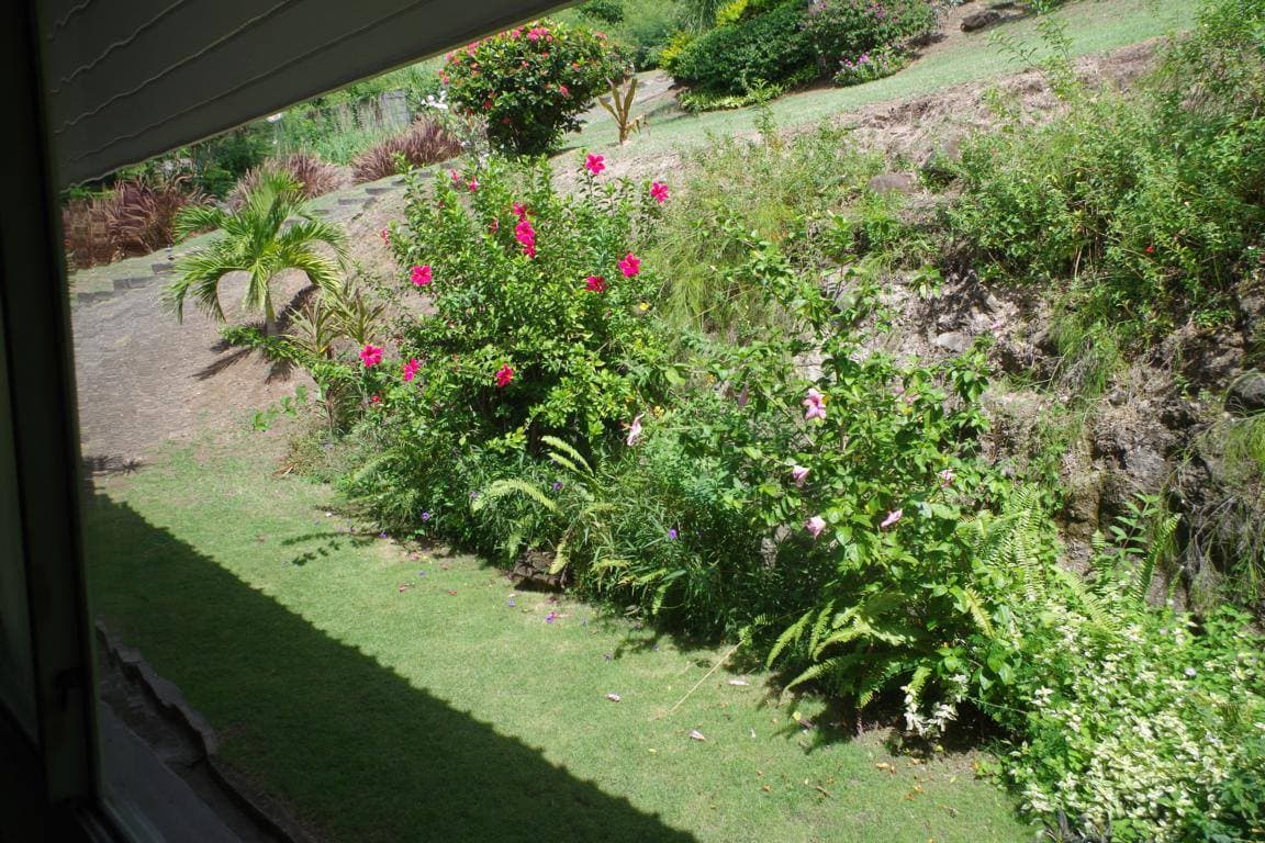 Garden View Room