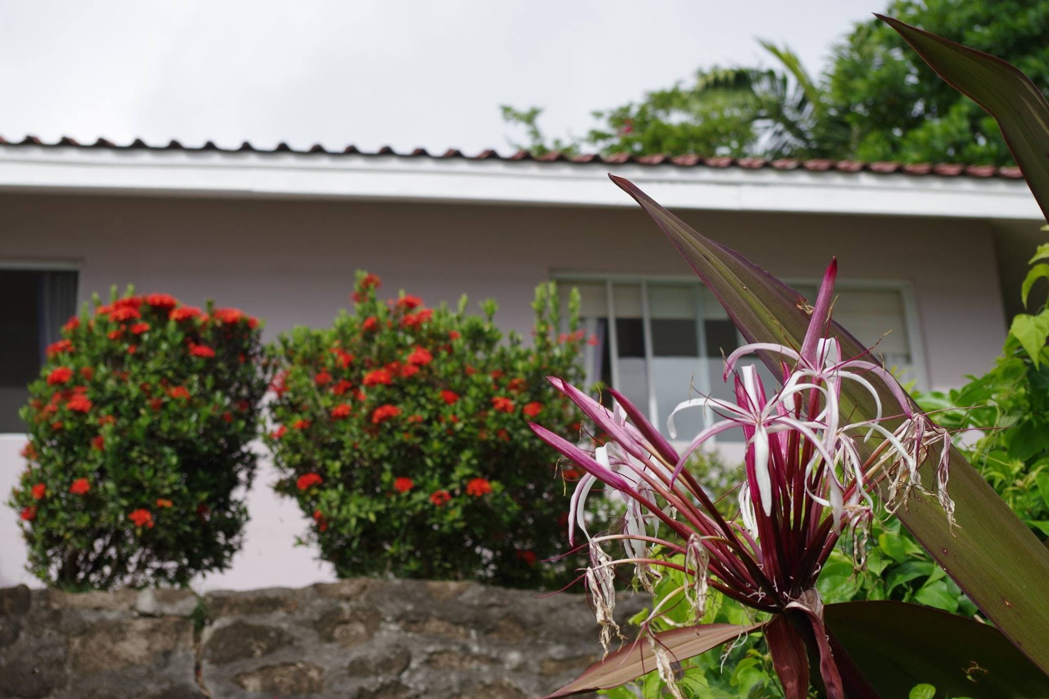 Villa Exterior